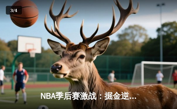NBA季后赛激战：掘金逆转森林狼，约基奇40分统治加时赛 - 3